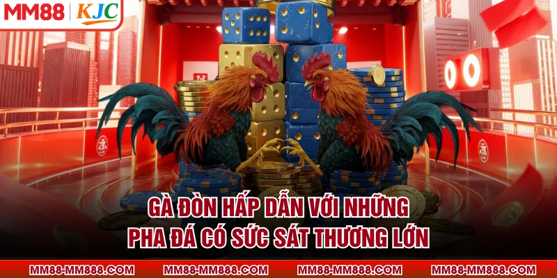 Gà đòn hấp dẫn với những pha đá có sức sát thương lớn