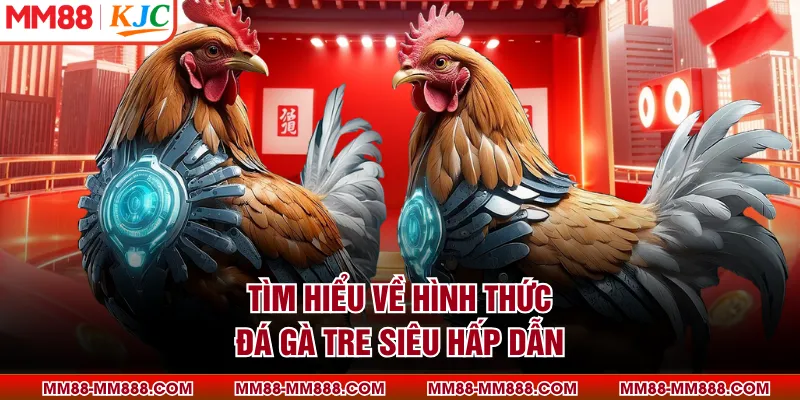 Tìm hiểu về hình thức đá gà tre siêu hấp dẫn